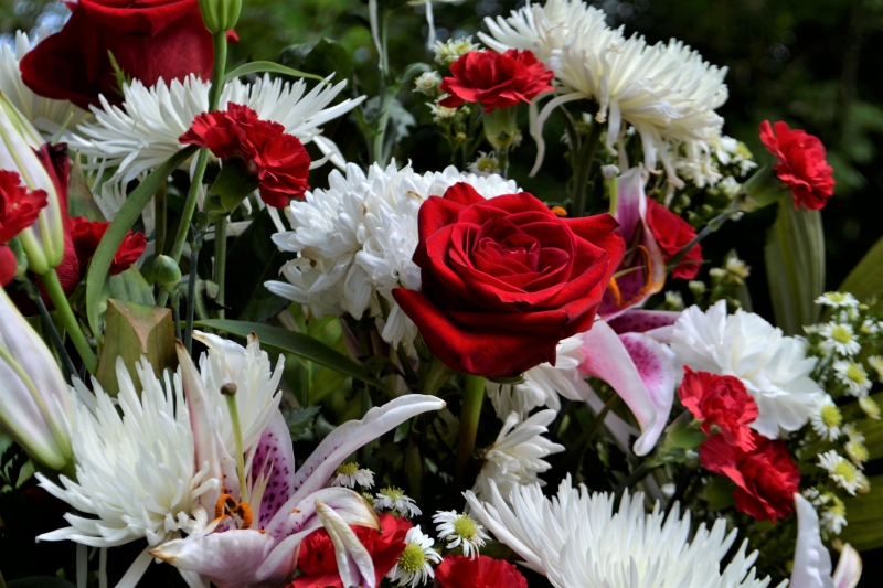 funeraire-CAGNES SUR MER-min_flower-3285506